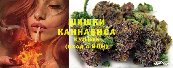 гидра Киреевск