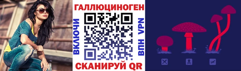 Купить закладки  Кинель  Псилоцибиновые грибы Psilocybine cubensis 
